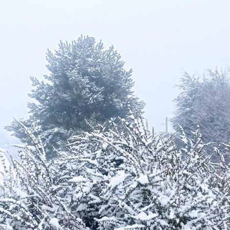 Cabanas Kuyen Койяїке Екстер'єр фото